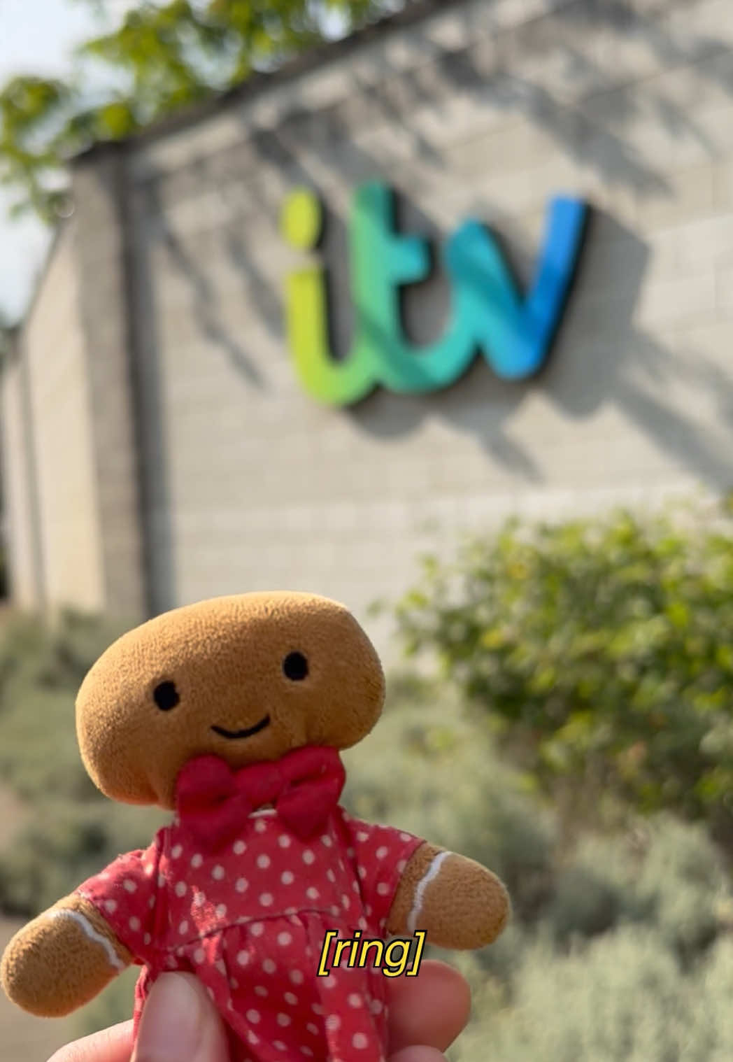 sign watch day 2 and itv IP fight. i wonder what that bot will say about this 