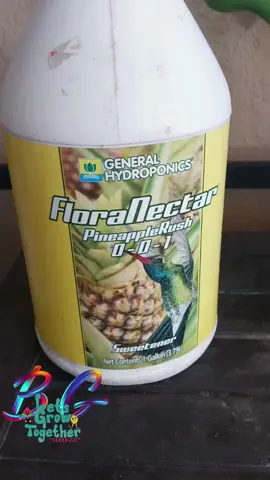 #boughettogardner #fypdongggggggg