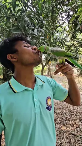 মিঠু কতো সুন্দর বলার চেষ্টা করতেছে #birds #টিয়া_পাখি #parrot 