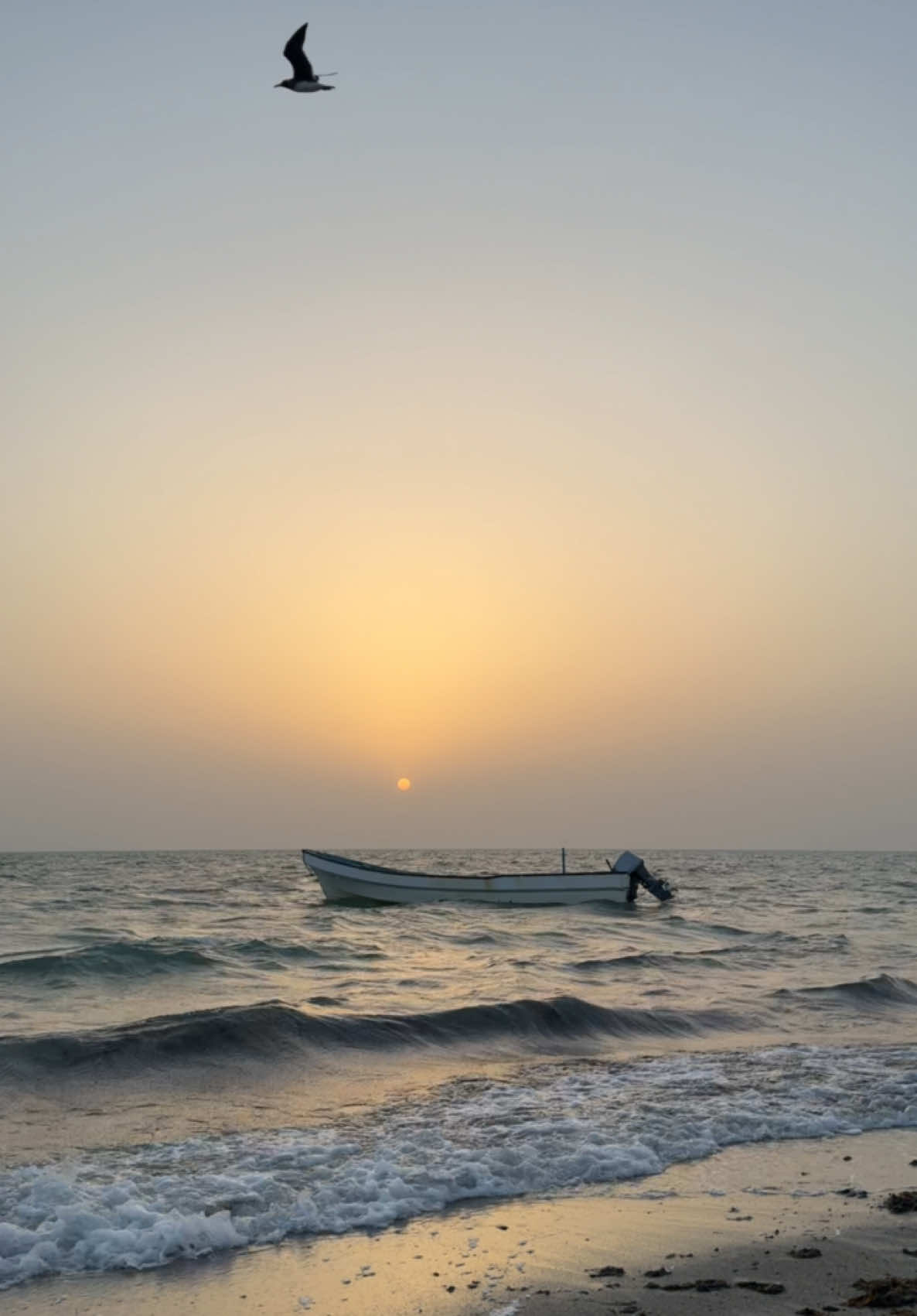 #اكسبلور #تصويري #الغروب جزيرة مصيرة 