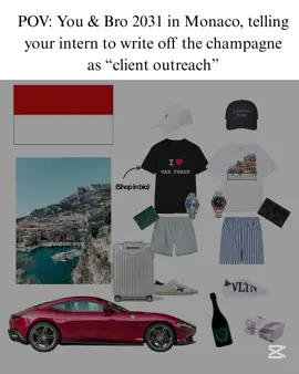 Follow to stay ahead of Interpol 🗿 #monacolife #brocore #financehumor #monacovibes #heritagehype #europeanstyle 