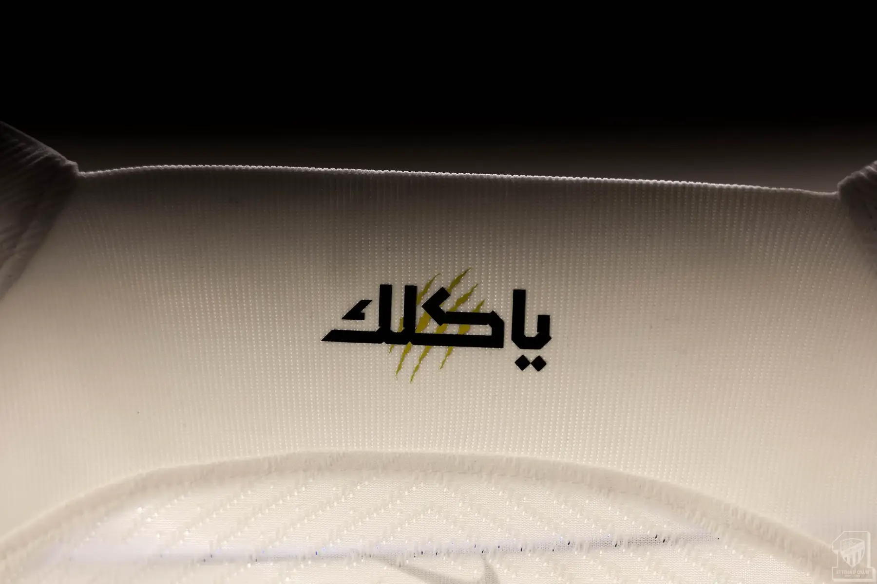 النمور مُستعدة ⚪️🐅  #الاتحاد 