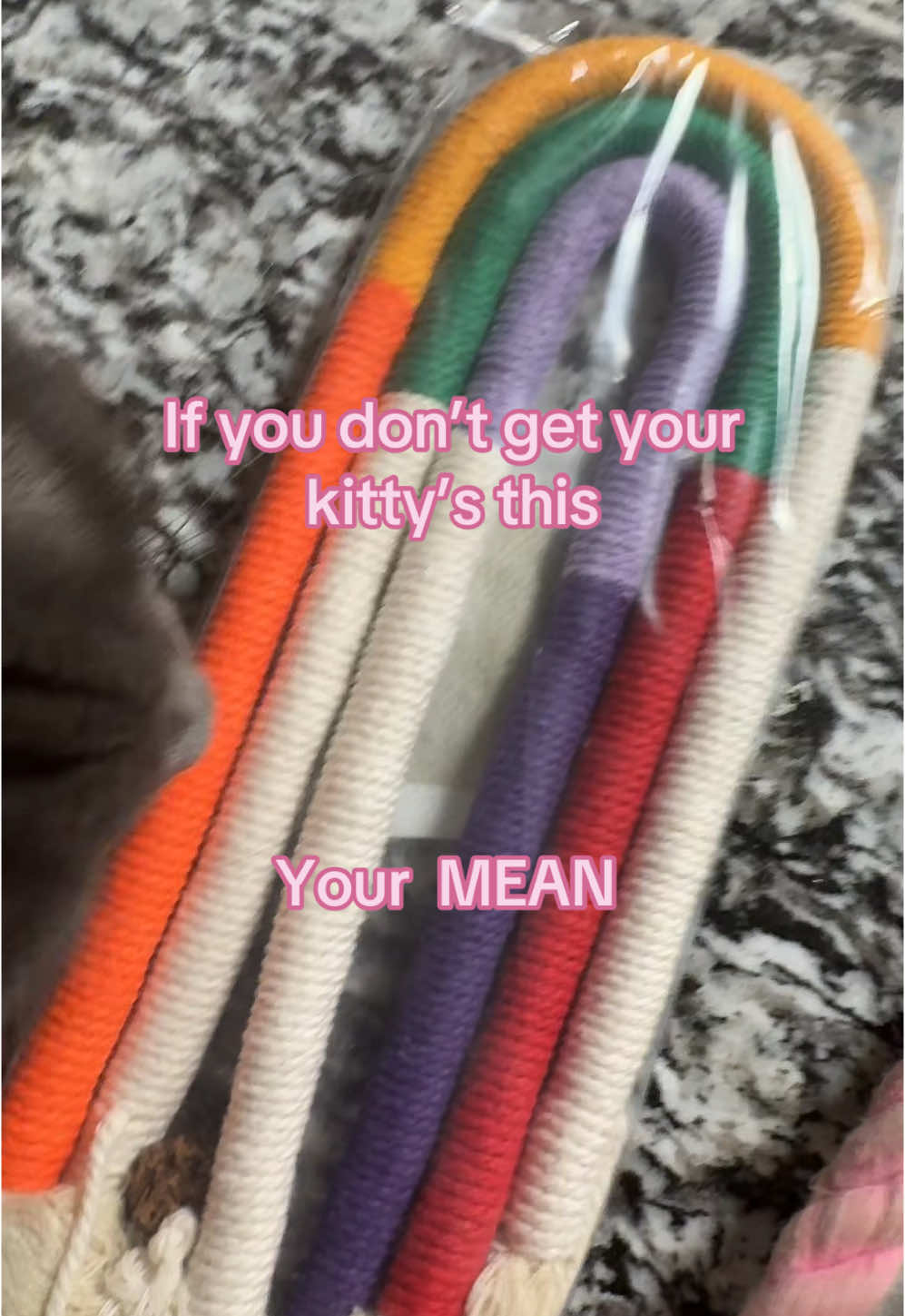 My babies can’t get enough of these chewy sticks #cat #catsoftiktok #cats #catslovers #toys #cattok #fyppppppppppppppppppppppp 