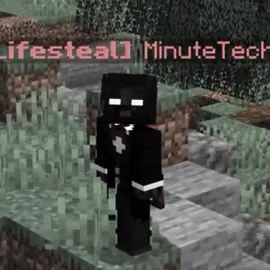 #lifestealsmp #minutetech #flamefrags #clownpierce #manepear 