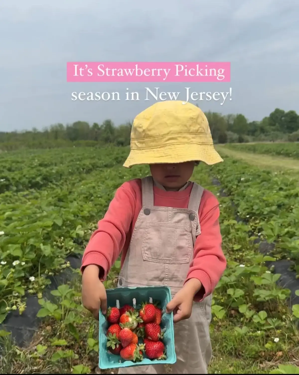 Strawberry season in NJ is short but oh-so-sweet! 🍓 From mid-May to June, it’s the perfect time for family fun at the farm. Nothing like strawberry festivals, fresh-picked berries straight from the vine, and tons of kid-friendly activities!  NJMOM Pro tip: Always double check the farm’s website or socials before you head out to make sure they’re open and have the best berries ready for picking. Have you been strawberry picking in NJ? What’s your favorite farm to visit? Drop your top spots below! 👇