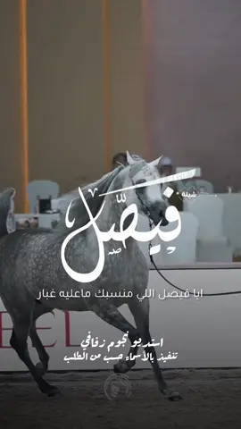 شيلة باسم فيصل 2025 شيلة مدح فيصل #استديو_نجوم_زفافي #لطلب_الشيلات_0505336824 #السعودية #الكويت #قطر  #تصميم_فيديوهات🎶🎤🎬تصميمي🔥 #تصميم_اسماء_حسب_الطلب #شيلة_باسم_فيصل #شيلة_فيصل #فيصل 