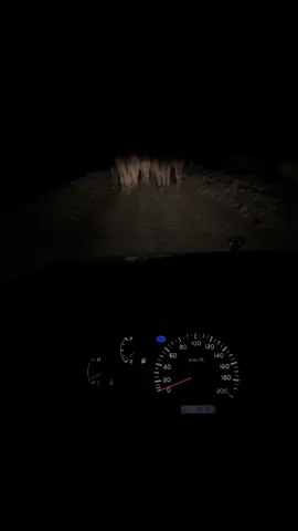 #اكسبلور 