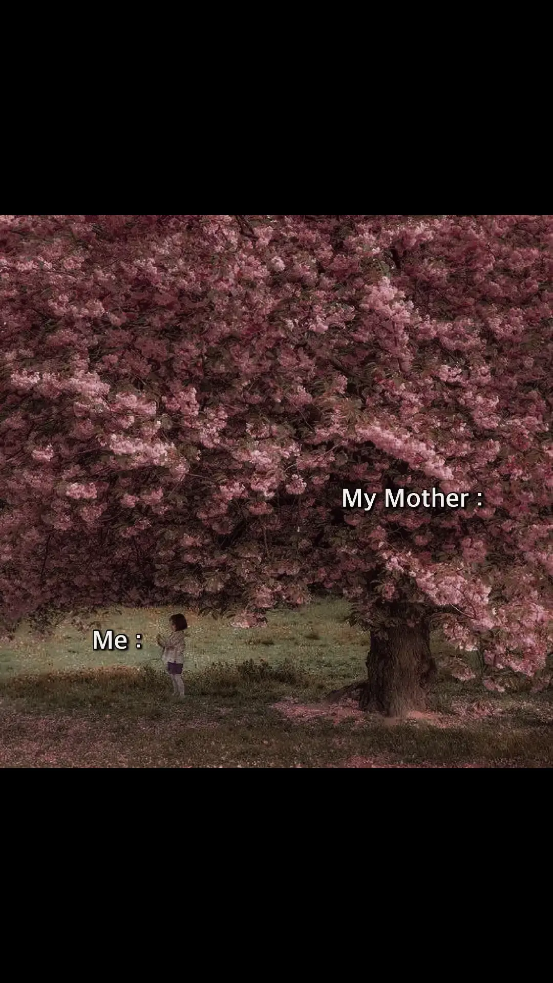 #mom #mother #viral #fyp 