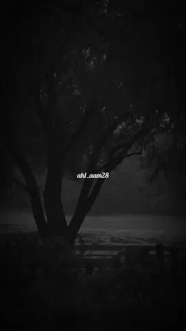 كامل ابوني خاوتي🥺🫶🏻#fyp #videoviral #foryoupage #paroles_rai #كلام_من_القلب #كلام_من_ذهب #videocreator 
