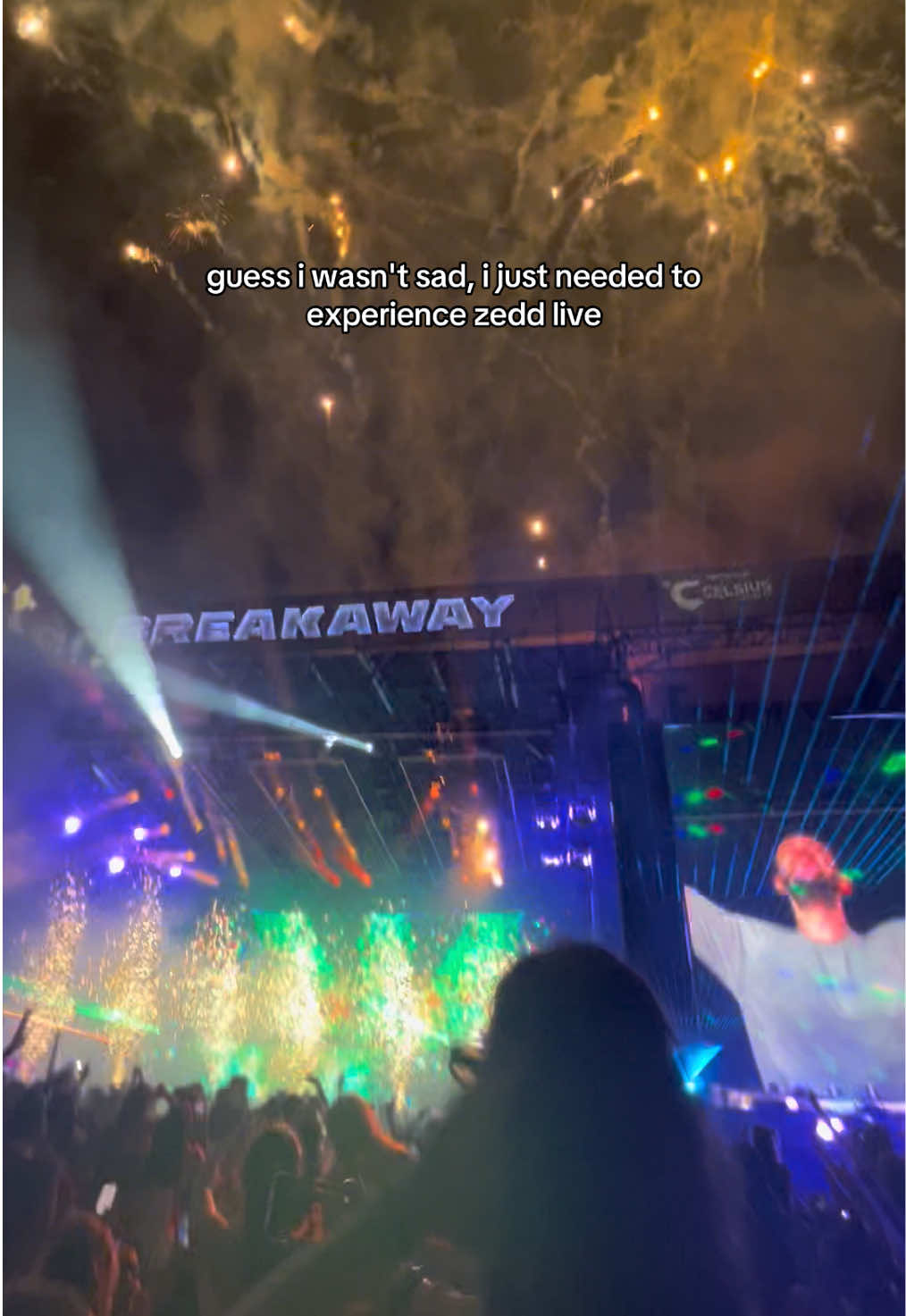i expected the most and zedd gave even more. actually insane and everyone was living @Zedd @Breakaway #atlanta #breakaway #breakawayfest #clarity #zedd #rave #asian #zeddclarity #childhood 