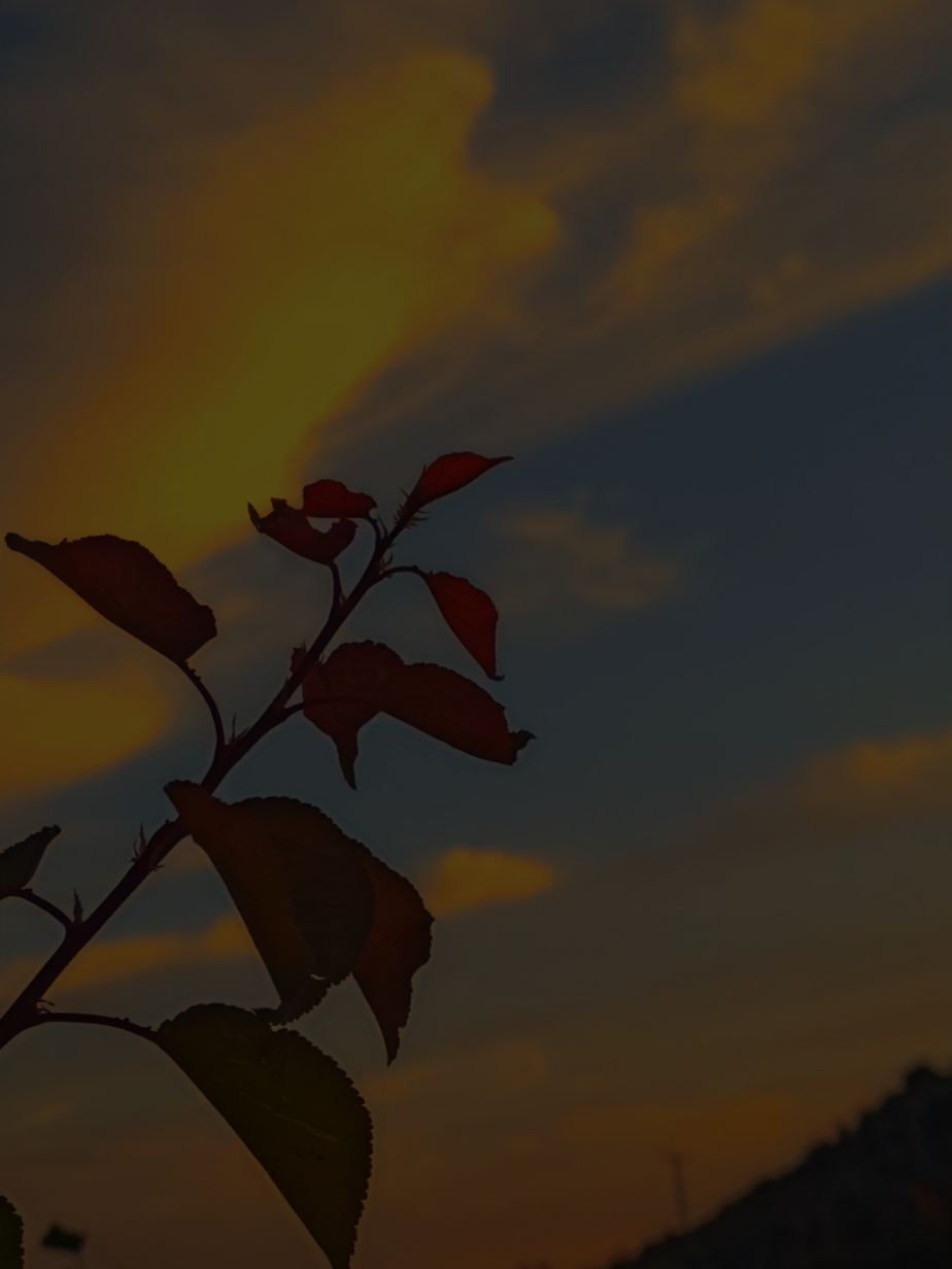 𝐘𝐨𝐤𝐦𝐮 𝐂𝐚𝐧 𝐘𝐚𝐤𝐚𝐧 𝐒𝐨̈𝐳𝐥𝐞𝐫𝐢𝐧𝐢𝐳