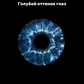 #гонфладд#фладда #gonefludd #сашабузе #хорошасейчас #sabbat #cakeboy #iroh #FlipperFloyd #голубыеглаза#саша 