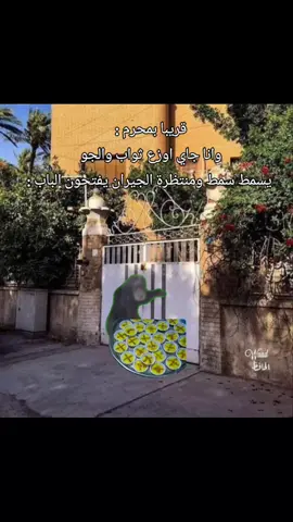 تاليتها انعلس ومحد يفتحلي #الشعب_الصيني_ماله_حل😂😂 #fyppppppppppppppppppppppp #foryou #اكسبلور #محرم_الحرام #العراق #fyp #شيعة_علي_الكرار #اكسبلورررررررررررررررررررر #ياعلي #محرم_عاشوراء #foryou #fyp #explore 