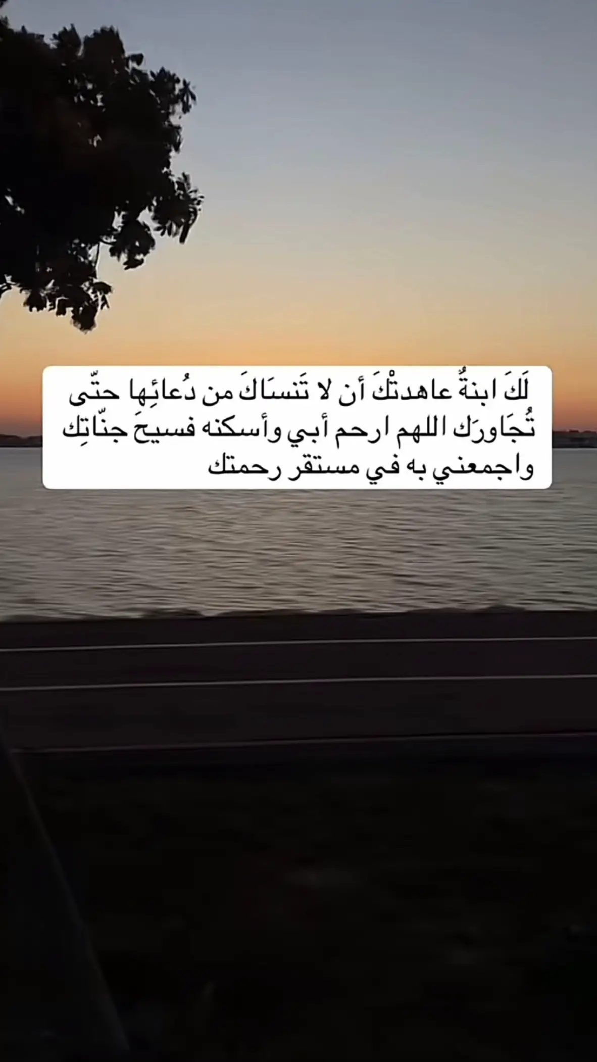 صدقة جارية لوالدي والمسلمين والمسلمات #صدقة_جارية #الاموات_لهم_حق_الدعاء تذكرو أبائكم بدعاء #explore #fyyp #algerie 