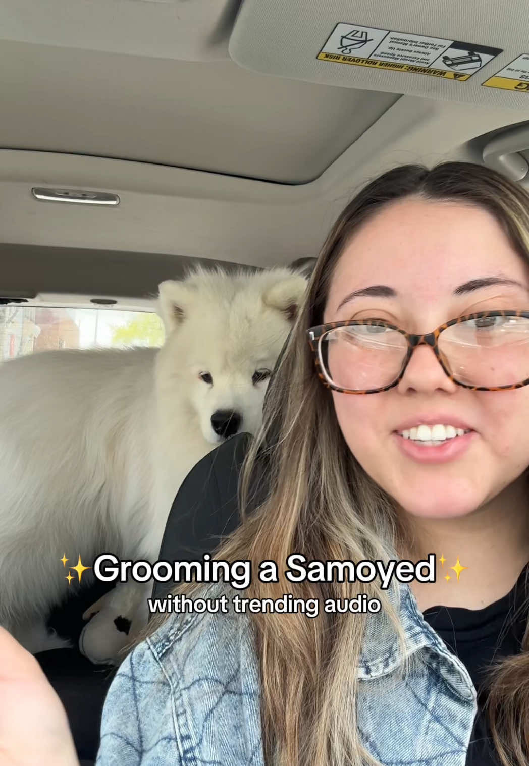 grooming a Samoyed without trending audio🤭☁️ #groomingdog #bathtime #samoyed 
