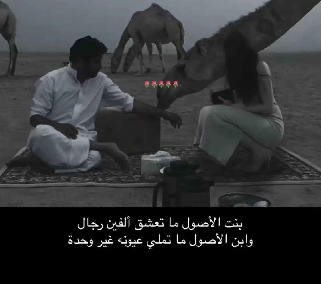 #لا_جيتني_وانتي_نجد 
