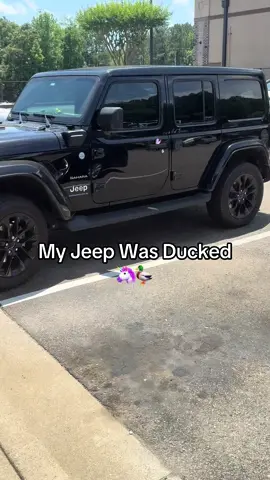 When the universe knows you need a little magic… and your Jeep gets ducked with a unicorn. Coincidence? I think not. Stay whimsical, Jeep fam. You never know when the next little blessing rolls up on four wheels and a rainbow horn! #JeepDucked #UnicornDuckEnergy #JeepLifeMagic