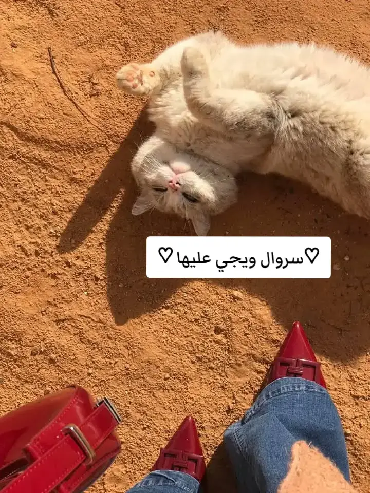 #طرابلس_ليبيا_بنغازي_طبرق_درنه_زاويه♥️🇱🇾 #اكسبلور #اكسبلور #ليبيا🇱🇾 #CapCut 