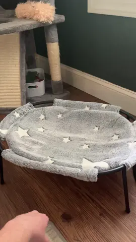 This cat bed is so cute! #fyp #fypage #relatable #cat #catbed #tiktokshop 