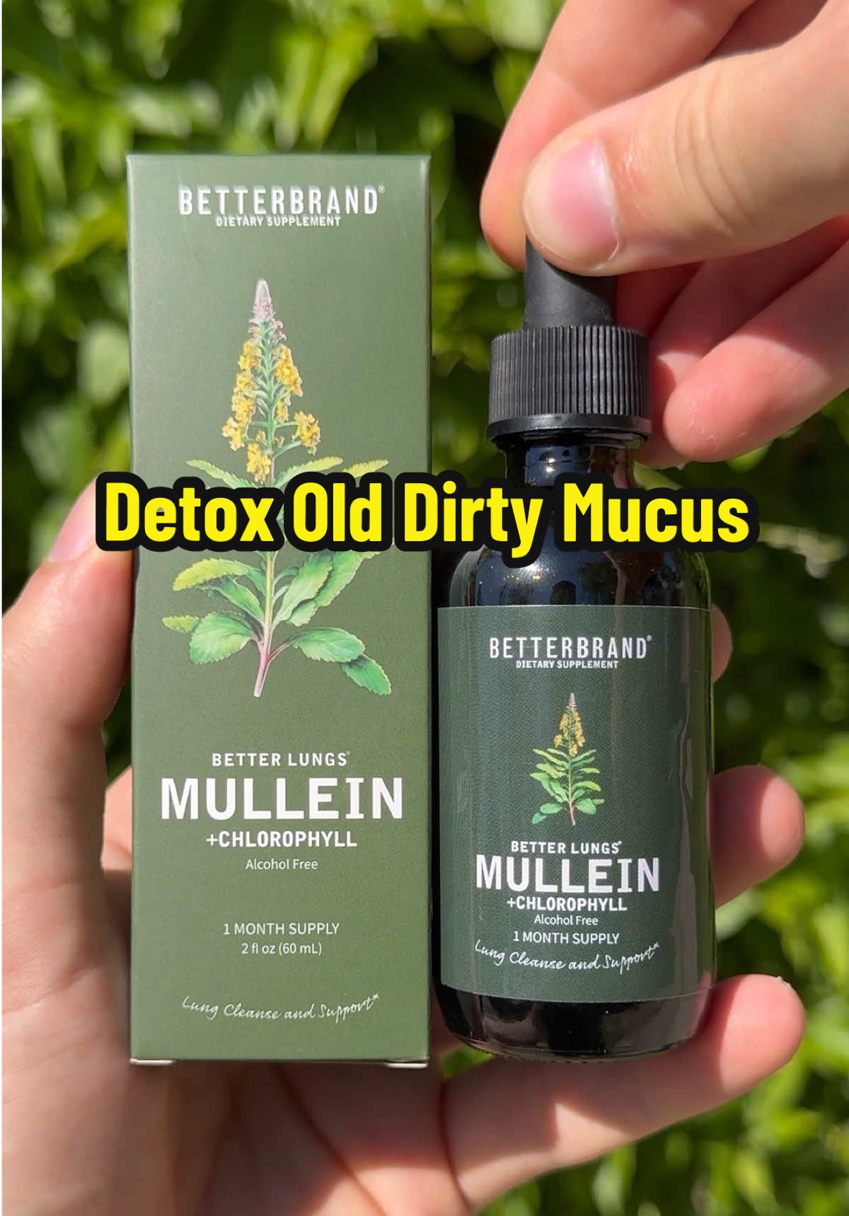 Your lungs are like air filters—and all that smoke, dust, and pollution? It sticks to the mucus lining over time. That’s why mullein is a game changer. It helps break up and flush out old, dirty mucus so your lungs can finally breathe clean again 💨🌿 #lungdetox #mulleinbenefits #mucuscleanse #respiratoryhealth #naturalremedies #smokers #airpollution #breatheeasy #herbalremedy #mulleinleaf  