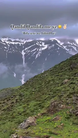 Apoçî tû çarî xilas nabin☀️✌🏻 #fyp #kurdistan #forupage #likе #keşfet #rojava #kurdîtok☀️ #girke_lege #kobani #qandil #apoçi 