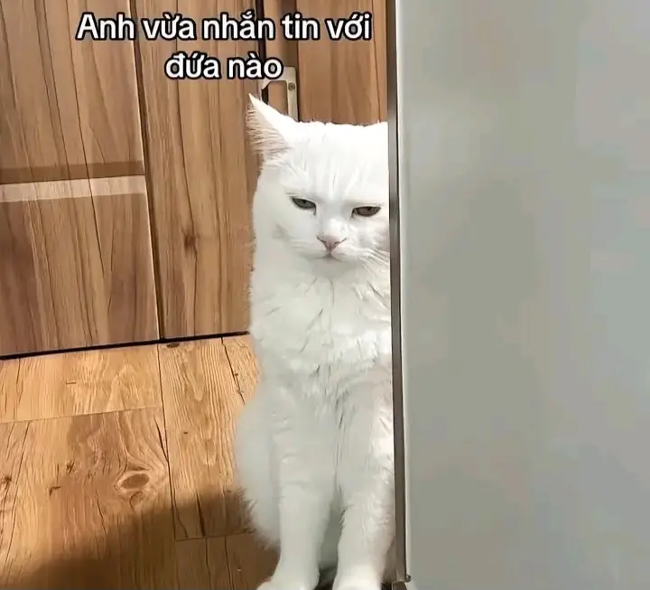 #haihuoc gửi ảnh trôn ny ngay nè😆 #xuhuong P2 nhó🥳 #xh #memestiktok #cute #votri #iu #dethuong #xh #doha #chill #iloveu #fypシ゚ 