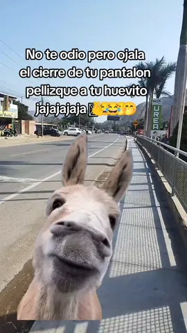 #CapCut #locurasmias  #😂😂😂😂😂😂😂😂😂😂 