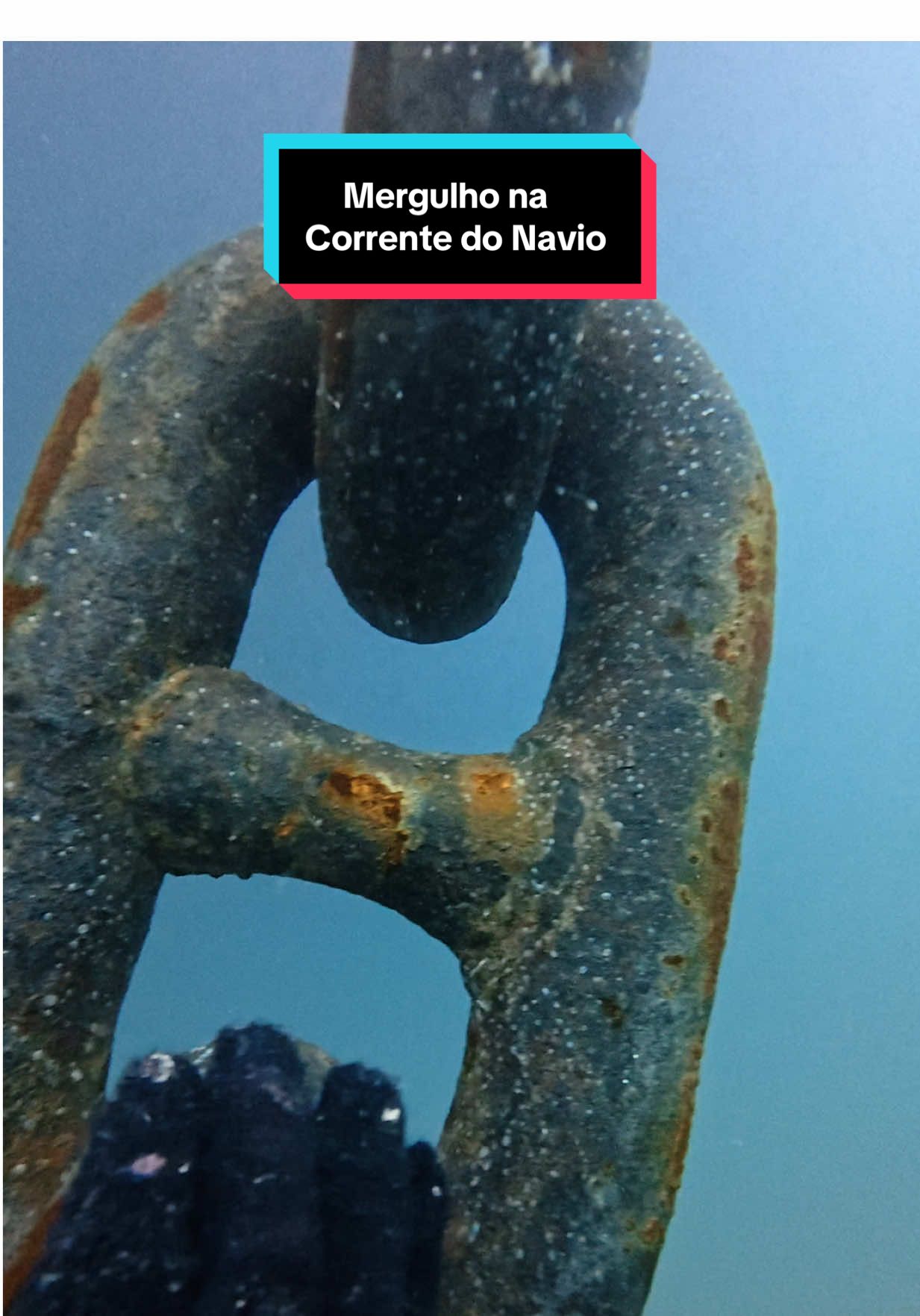 Mergulho na Corrente do Navio. #workhard #dive #ship #work #hull #mergulho #buceo #trabalho #navio 