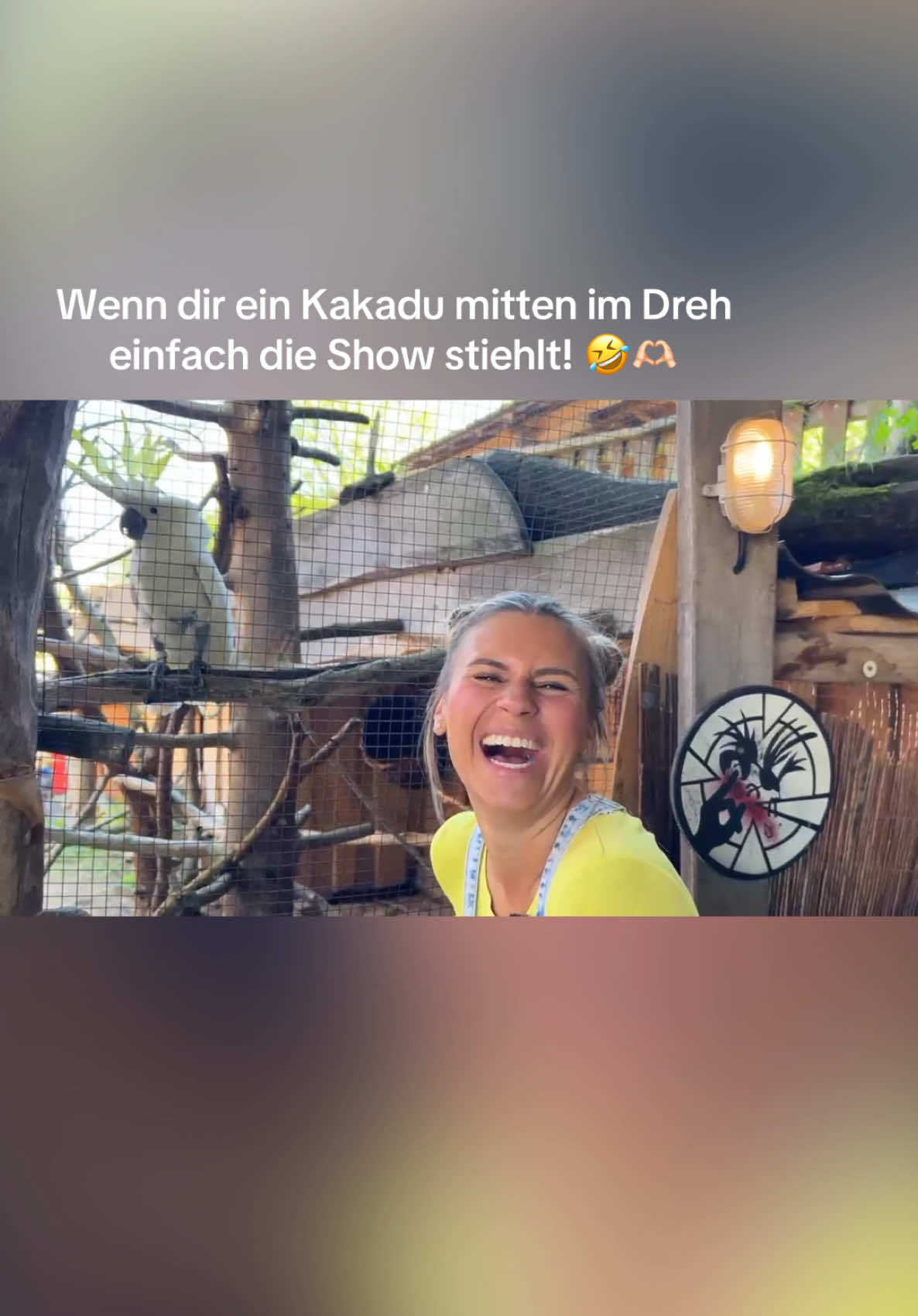 🤣 WAS MUSSTE ICH HEUTE LACHEN ✨😂 …wer kennt Coco von Turisede? Was für eine lustige Socke 🙌🏻😍 absolut faszinierende Tiere diese Kakadus 🫶🏻 🔍 Ihr könnt euch auf jeden Fall auf eine tolle neue Folge aus der geheimen Welt von Turisede freuen ✨ #pepinaswelt #pepina #kulturinsel #turisede #kinderkanal #youtubekids #kindervideos #familienausflug #kindererlebnisse #ausflugstipps #ausflugsziel #görlitz