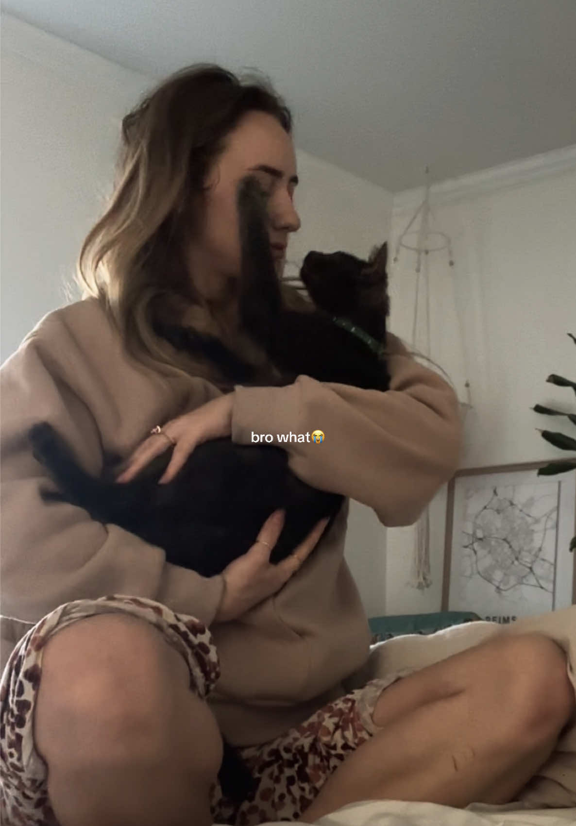 Who taught him that  #catsoftiktok #catlover #catmom #purrfection #wobblycatsyndrome #kittenlove #viral 