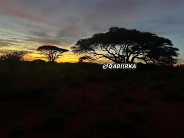 Saarku Waa wax saaxira Waa geeri dhaanjara😀🥰#saar #wilisaqo #sabuux #xawaadle #cayrnimo🎅💗 #guriceel_janaad💙🤍💚 #matabaan #somalitiktok #somaliwayn #dhaanto #hiddoiyodhaqan #miyi #cayaar #hiiraan #dueto 