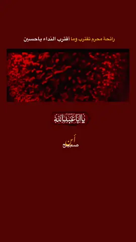 لقد اقتربت المصيبه الكبرى💔#محرم_عاشوراء #البصرةكربلاء__بغداد_الحبيبه_الناصريه #البصره #العراق🇮🇶 #مرتضى_حرب #سيد_فاقد_الموسوي #باسم_الكربلائي_عشق #امجد_الشغانبي #yyyyyyyyyyyyyyyyyy #مصصم_فيدوهات🎬🎤🎶🎼 #قوالب_كاب_كات_جاهزه_للتصميم #pyfツ #الامام_المهدي_المنتظر_عج 