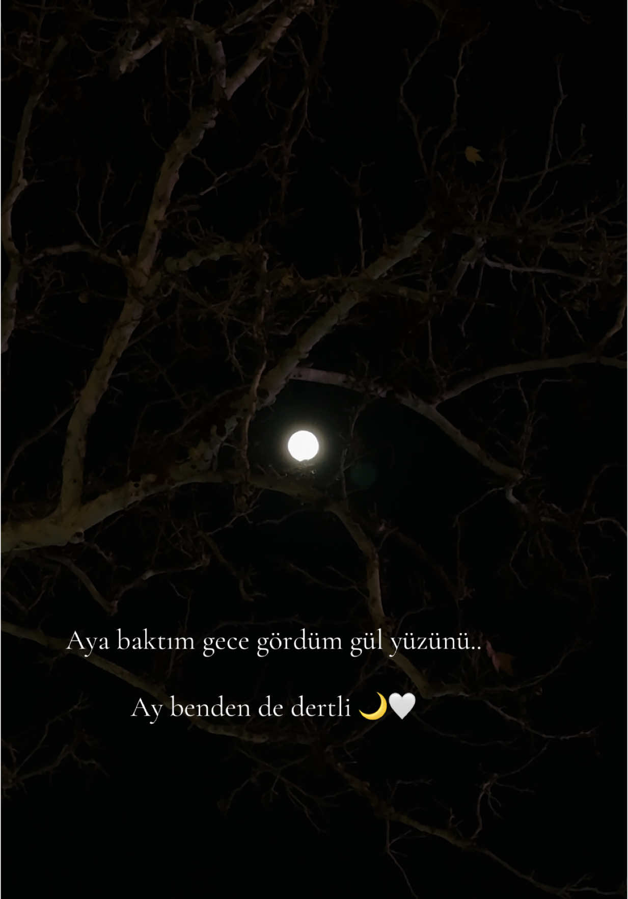 İnsan oturub Ay’ la dertleshermi? Her sozumu sirrimi bilen en sevdiyim🤍 Mene gozel gunleri xatirladan🌙 her zaman ayi sevmishem ama 2022 den onla bagim bir ayridi, her gece oturub onu izlemek, gelmediyi gunlerde onu gozlemek.. ichimdeki ishigi umidi oyadan 🤍  #keşfet #kesfet 