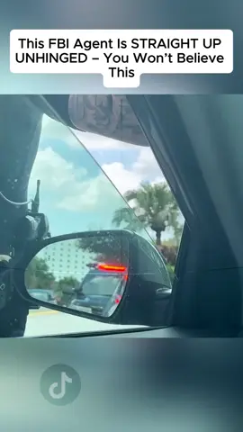 #auditingamerica #tiktok 