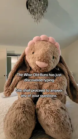 Mistress Hazel 🐰 #bunny #bunnytok #buns #jellycat #jellycatbunny #vivaldi #vivaldisprings #wise  #wisdom #qanda #questions #answers #humor #funny #meme #trending #viral #trend #fyp #fypシ 