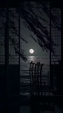 Gracias Dios por lo vivido este día..🤍✨️🙏😇🙇‍♂️🛐 #buenasnoches #oracion #reflexion #dios #oraciondelanoche #graciasdios 