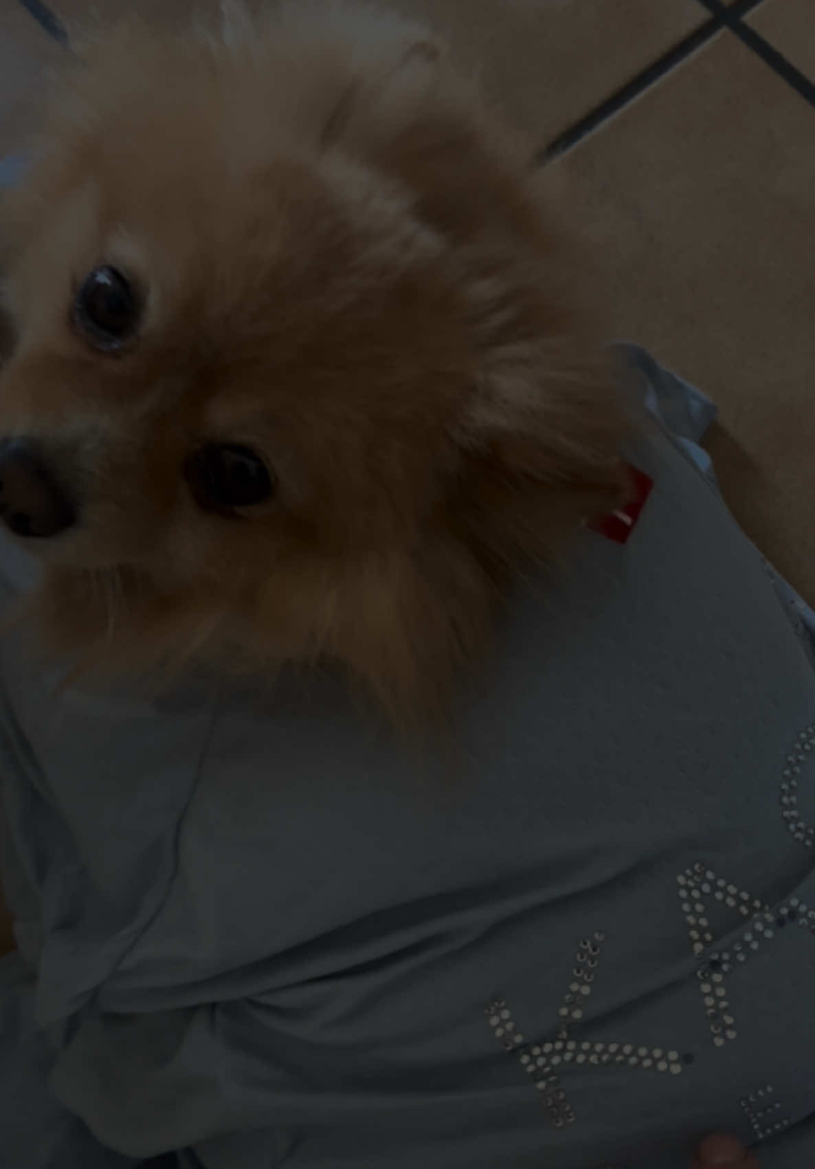 Archie getting measured up for his custom @Kastel Denmark re purposed #recycled sunshirt  Each shirt custom hand made in #usa🇺🇸 #losangeles #california 