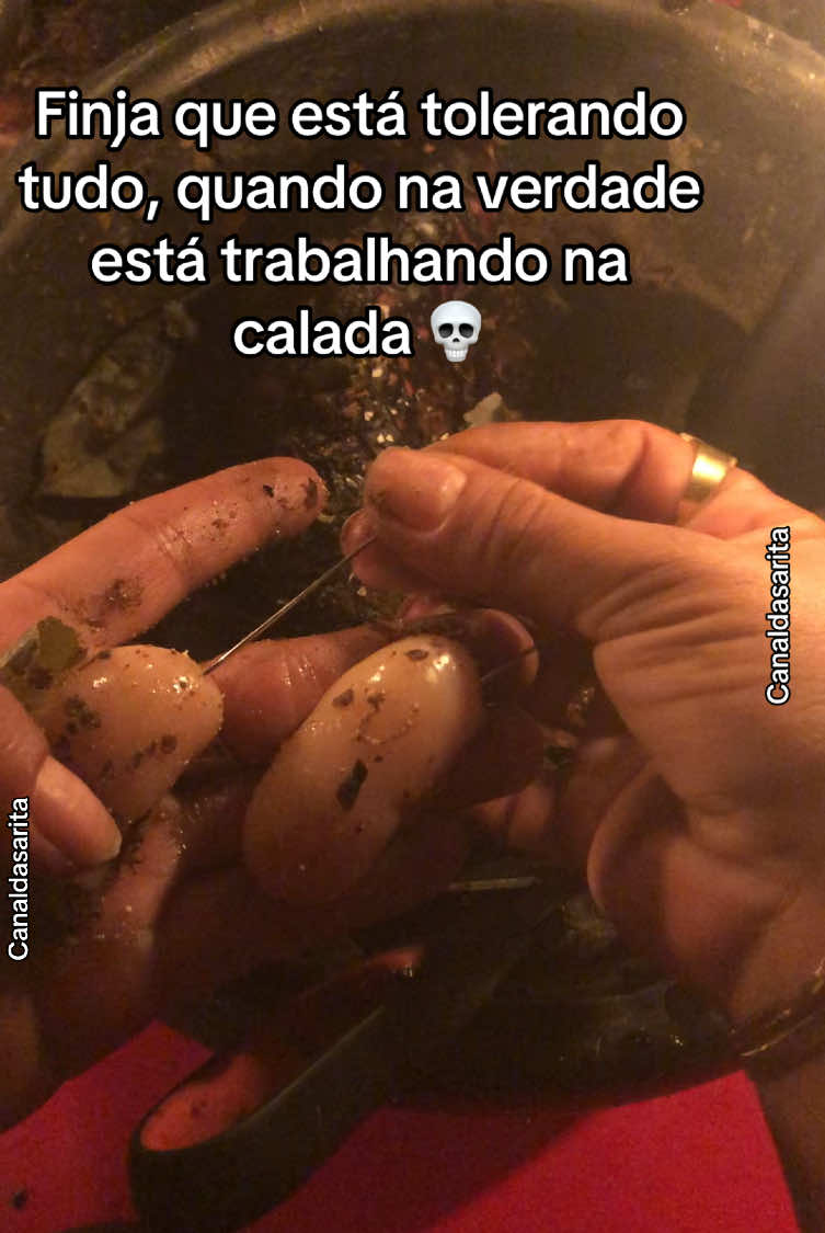 #brocha #lovespell #rituales #trabajo #simpatia #canaldasarita 