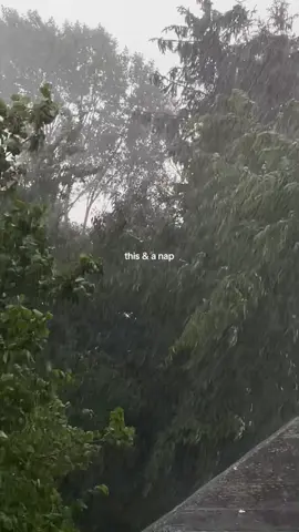 #fy #fyp #rain #rainyday #nap 