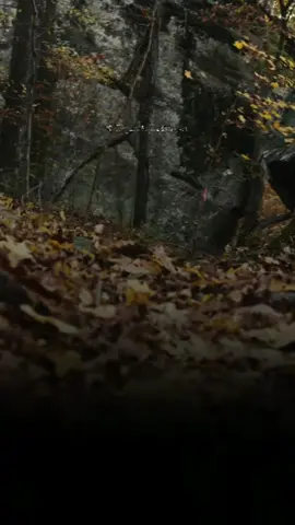 #إن_كلماتنا_ستبقى_ميتاً…##عبدالله_عزام#سيد_قطب_رحمه_الله 