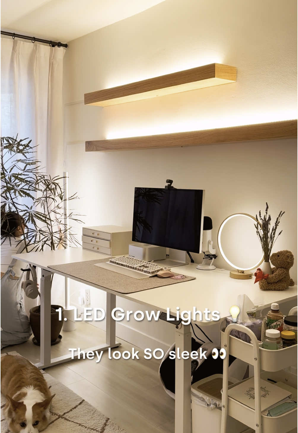 Houseplants have such a grounding effect on our mental health ❤️ Go to my Amazon storefront (link in bio) for the full list of products!