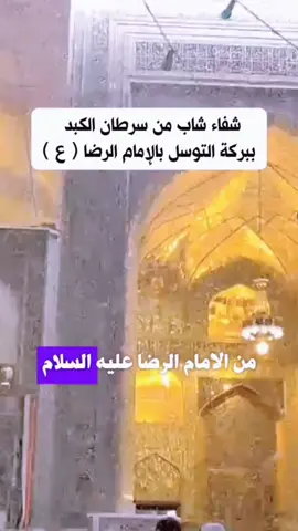 السلام عليك ياعلي ابن موسى الرضا 💚