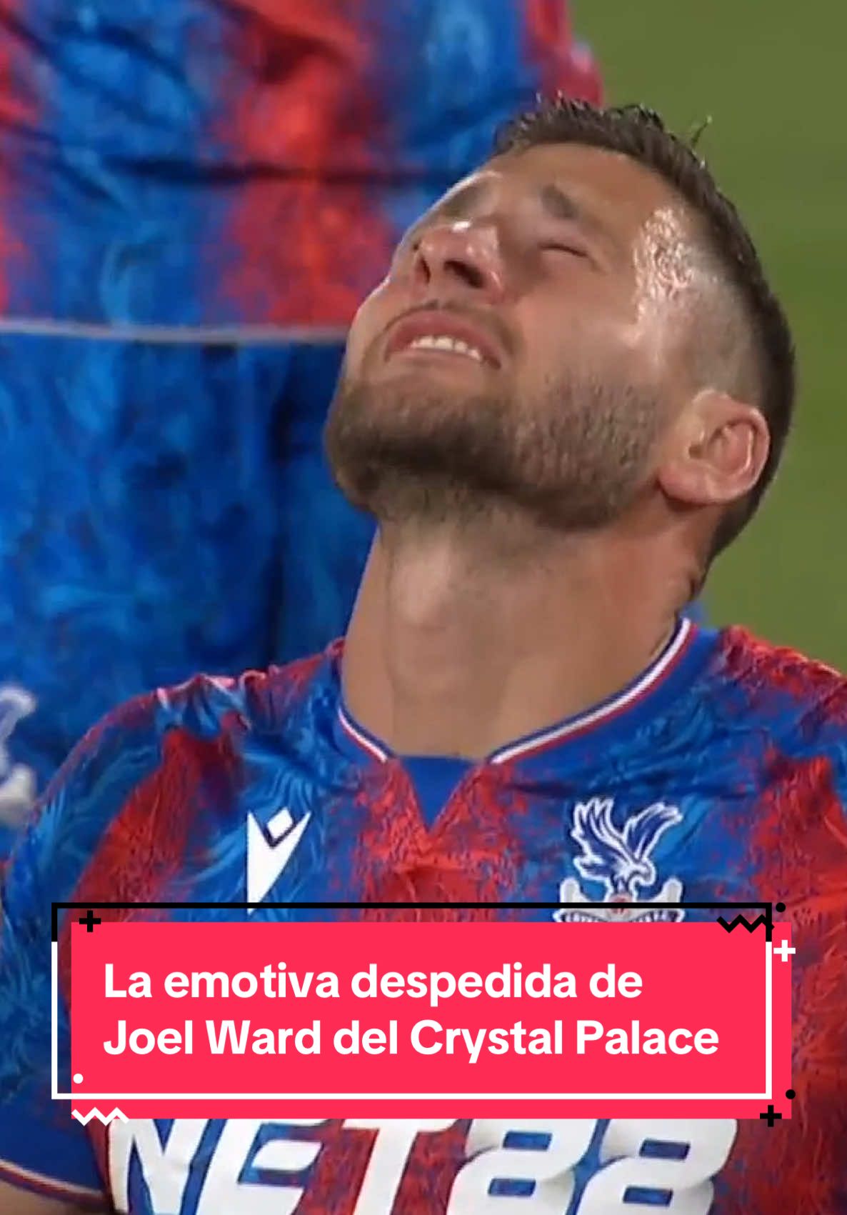 Joel Ward se despide de la afición del Crystal Palace! 🦅😭 Apenas un partido después de levantar el primer título en la historia del club, el defensor británico jugó por última vez en Selhurst Park. 🏟️❤️ Estuvo con los Eagles 13 años y los cánticos de los hinchas fueron tan emotivos que hasta al más duro se le pone la piel chinita. 🥹🎶 #LigaPremierTD #PremierLeague #CrystalPalace #JoelWard