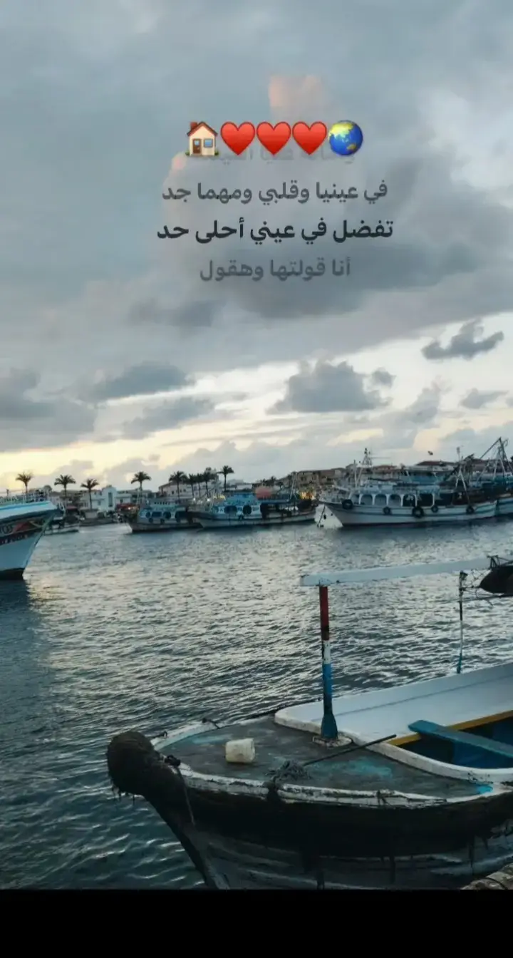 امانه اشيلك في عنيه❤️🌍 #fyp 