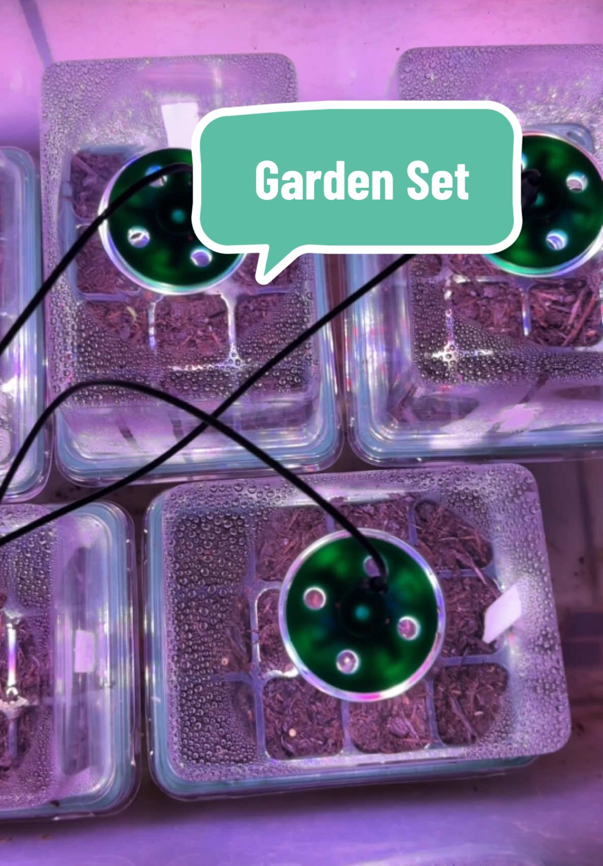 Very useful Gardening Set. #creatorsearchinsights #garden #gardenset #selfwateringplanter #planter #fyp #TikTokShop 