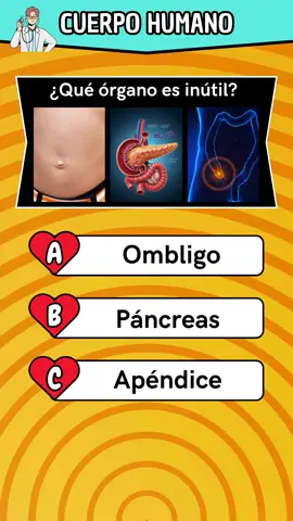 Quiz anatomía! #quiz #anatomy #anatomía #medicine #preguntasyrespuestas #preguntas #quiztime #challenge #quizchallenge 