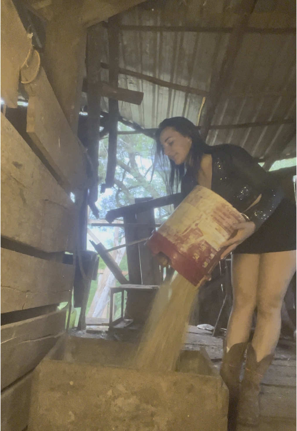 Tratamento de rainha  . . #mocadaroca🤠😍🙏🤠😍🙏🤠 #fazenda #sitio #rotina #sito 