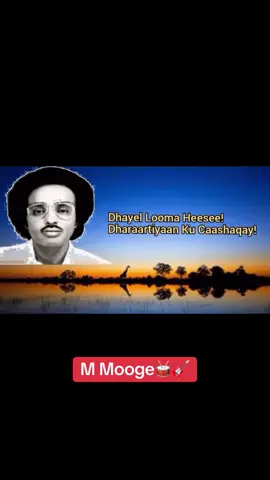 #foryou #maxamedmooge #moogeyare🎸 #somalitiktok #fyp 