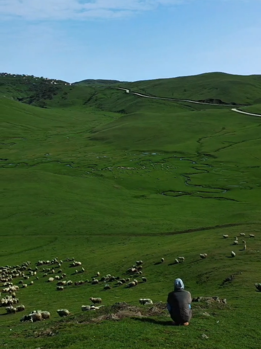 #ordu #yayla #persembe #aybasti 