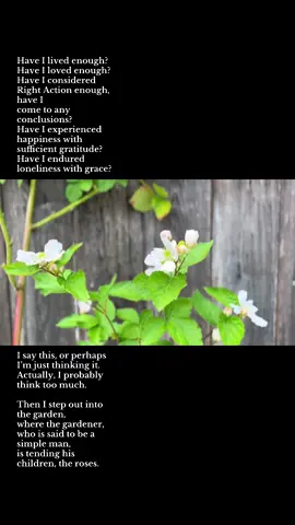 The gardner. Mary Oliver. #gardentok 
